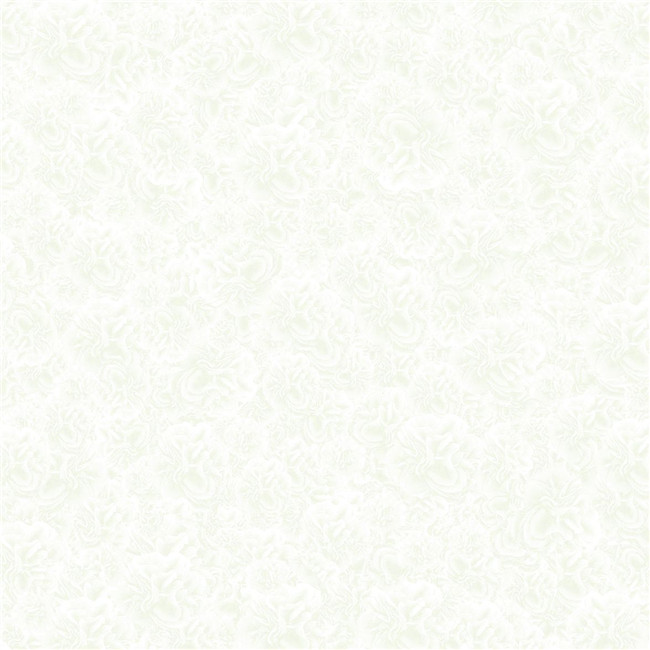 HPVB18017冰璣石（800X800mm）