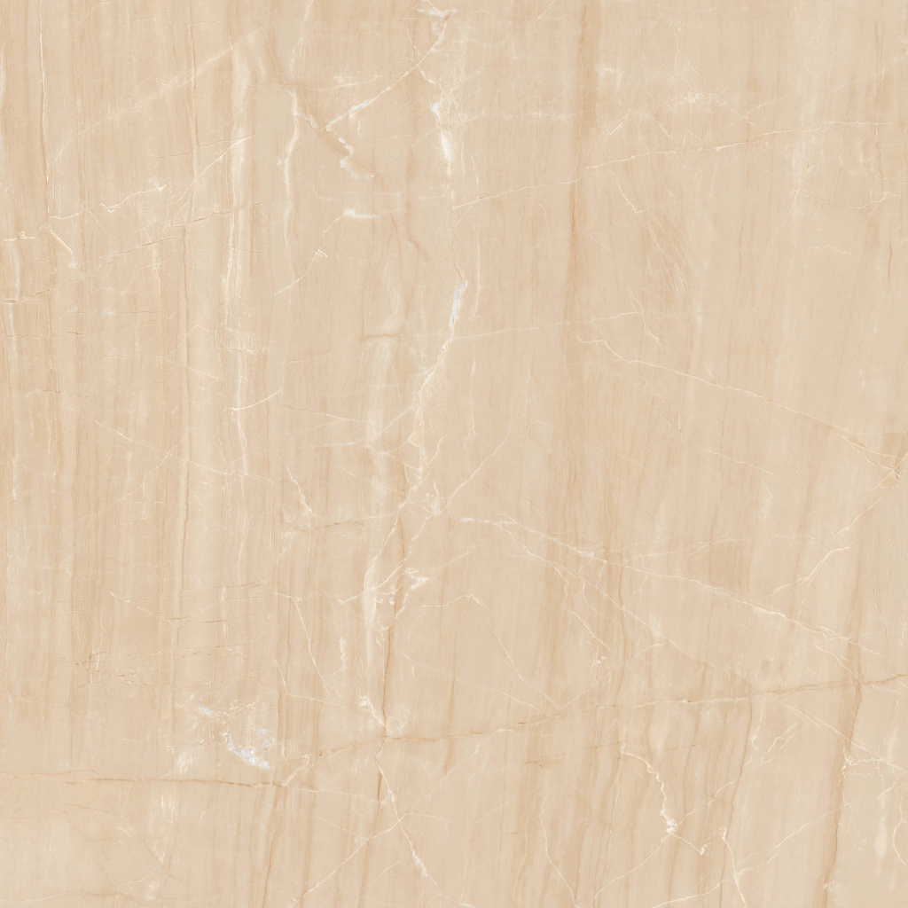 木紋玉 HPG80132  800X800mm