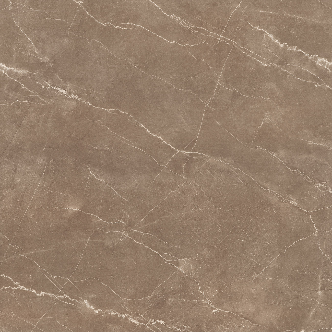 布爾諾-咖啡色 HYEG90005,900X900mm HYEG26005,600X1200mm