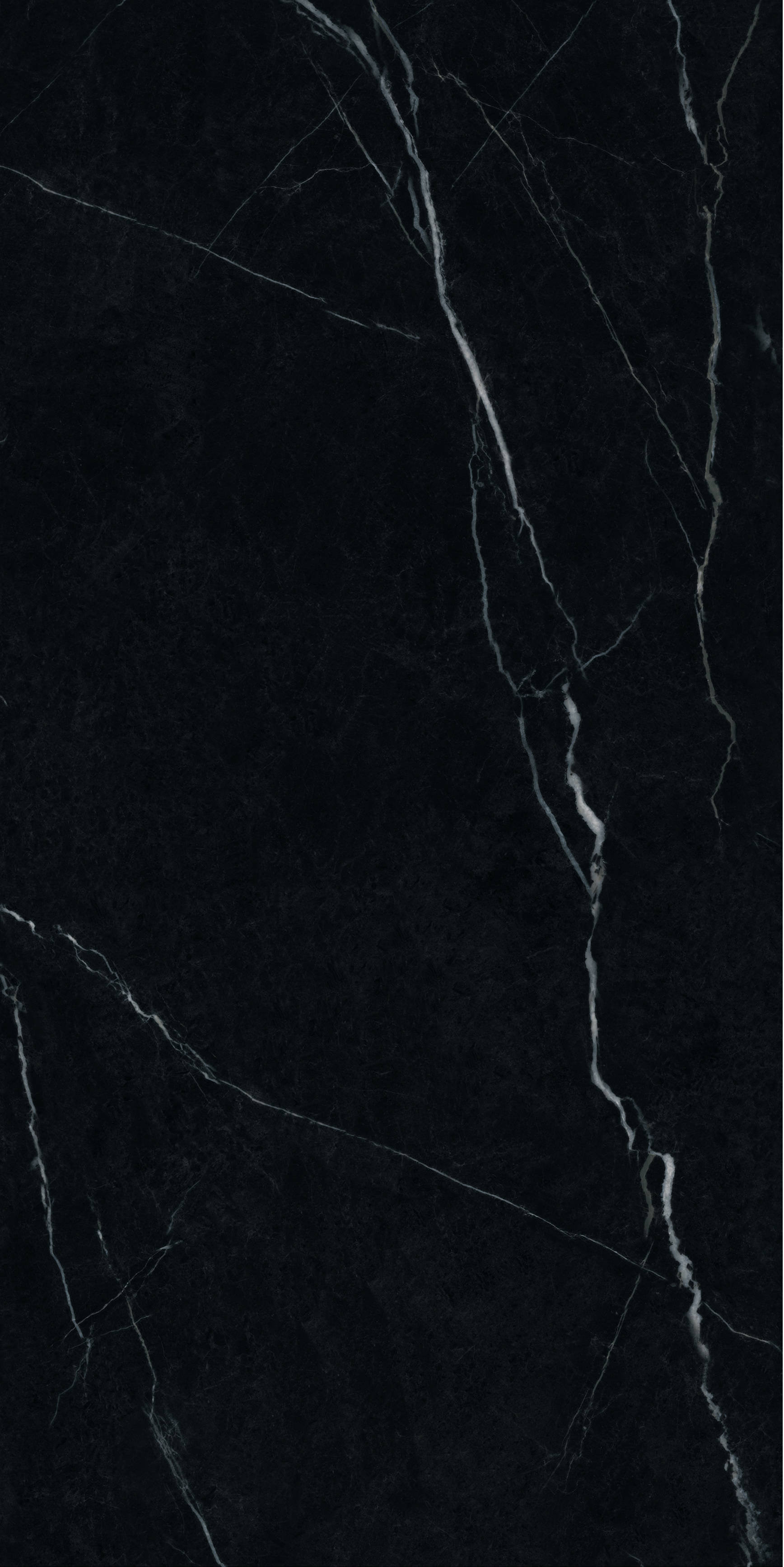 黑白根HFOG26004  黑白根（模具柔拋）