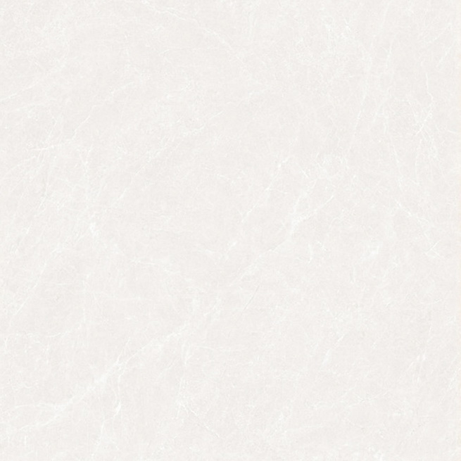 HPLR80007