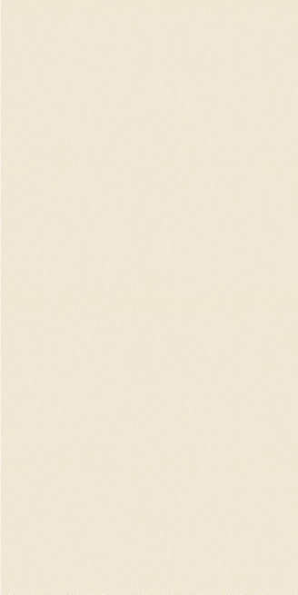 宏宇陶瓷-HEFS1890002星夏日